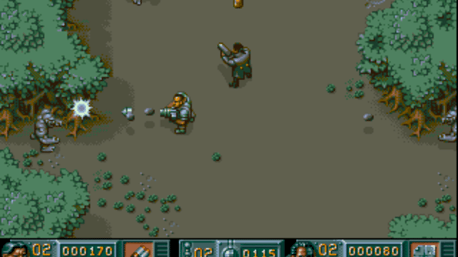 Soldiers of Fortune Screenshot