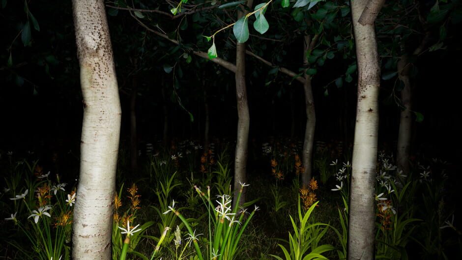 Prophecy of the Nun Screenshot