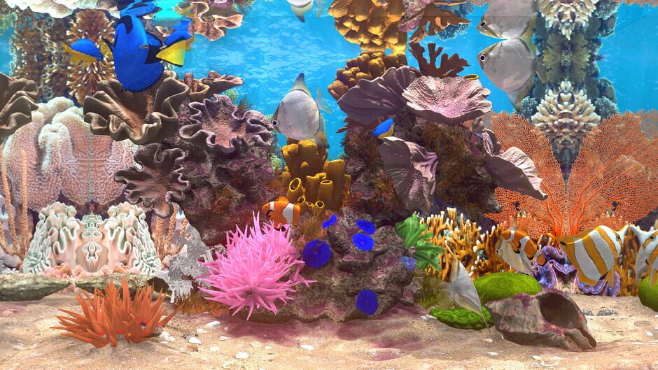 Behind Glass: Aquarium Simulator Screenshot