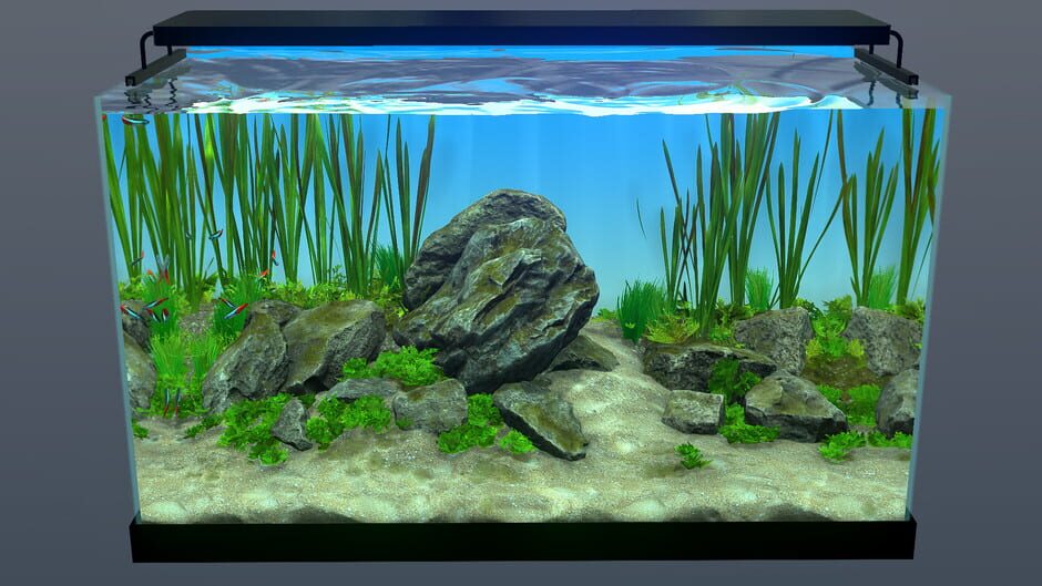Behind Glass: Aquarium Simulator Screenshot