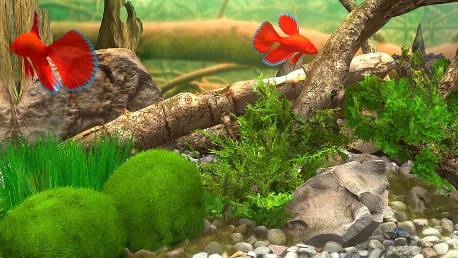 Behind Glass: Aquarium Simulator Screenshot