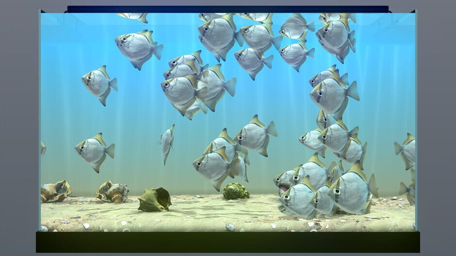 Behind Glass: Aquarium Simulator Screenshot