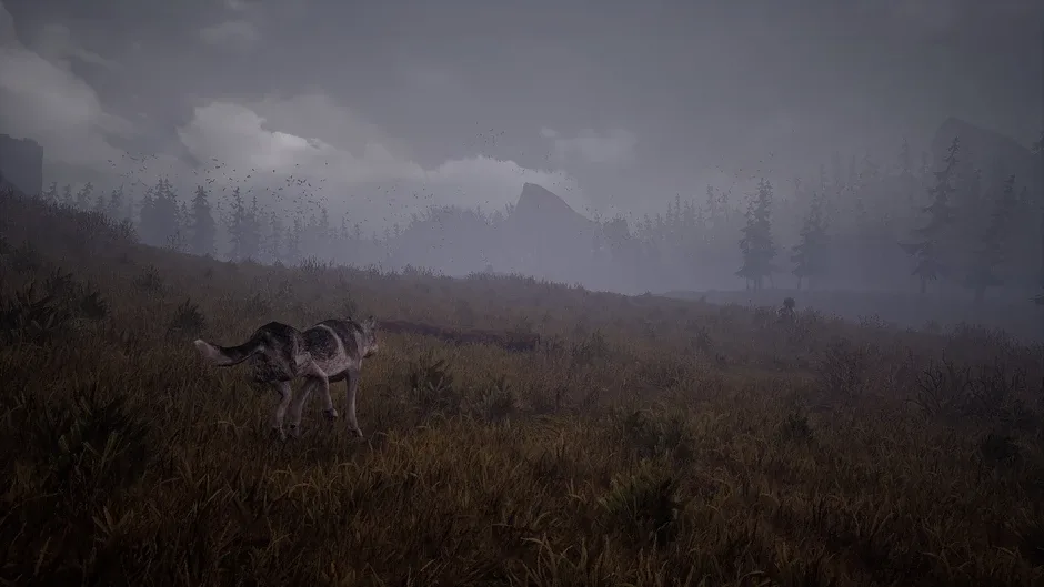 Кадър от Wandering Wolf