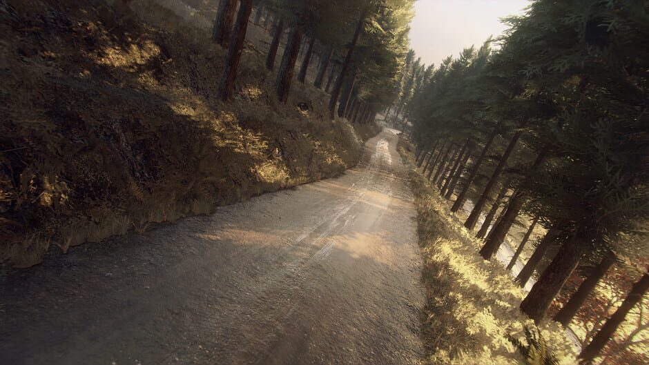 DiRT Rally 2.0: Colin McRae - Flat Out Pack Screenshot
