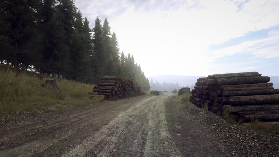 DiRT Rally 2.0: Wales (Rally Location) Screenshot