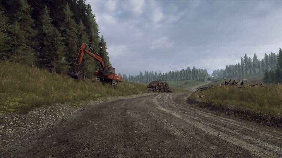 DiRT Rally 2.0: Wales (Rally Location) Screenshot