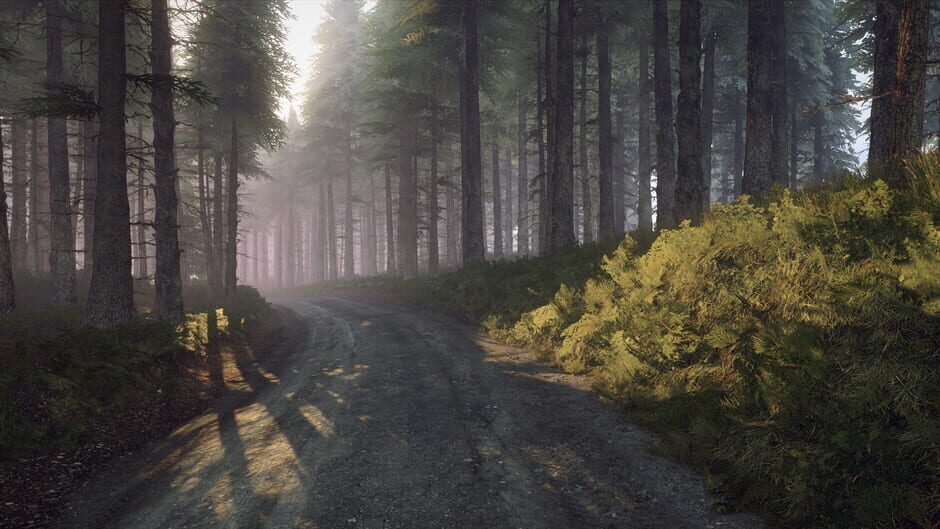 DiRT Rally 2.0: Wales (Rally Location) Screenshot