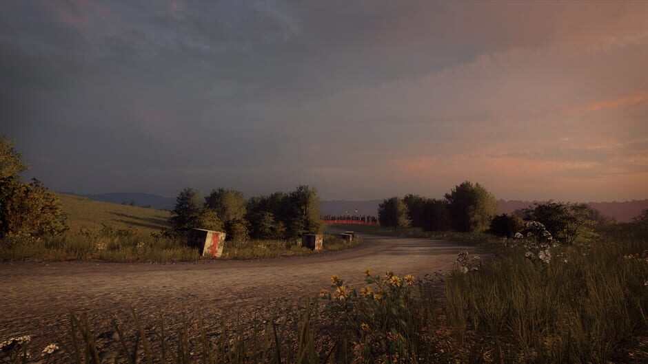 DiRT Rally 2.0: Germany (Rally Location) Screenshot