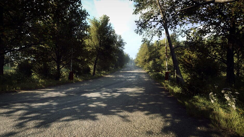 DiRT Rally 2.0: Germany (Rally Location) Screenshot