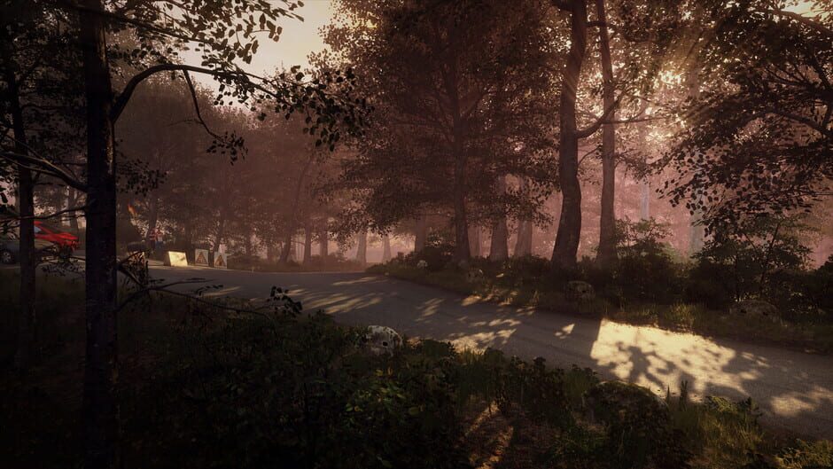 DiRT Rally 2.0: Germany (Rally Location) Screenshot