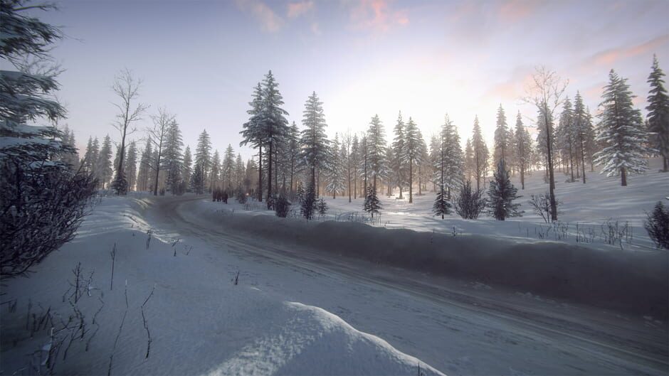 DiRT Rally 2.0: Sweden (Rally Location) Screenshot
