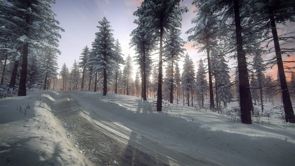 DiRT Rally 2.0: Sweden (Rally Location) Screenshot