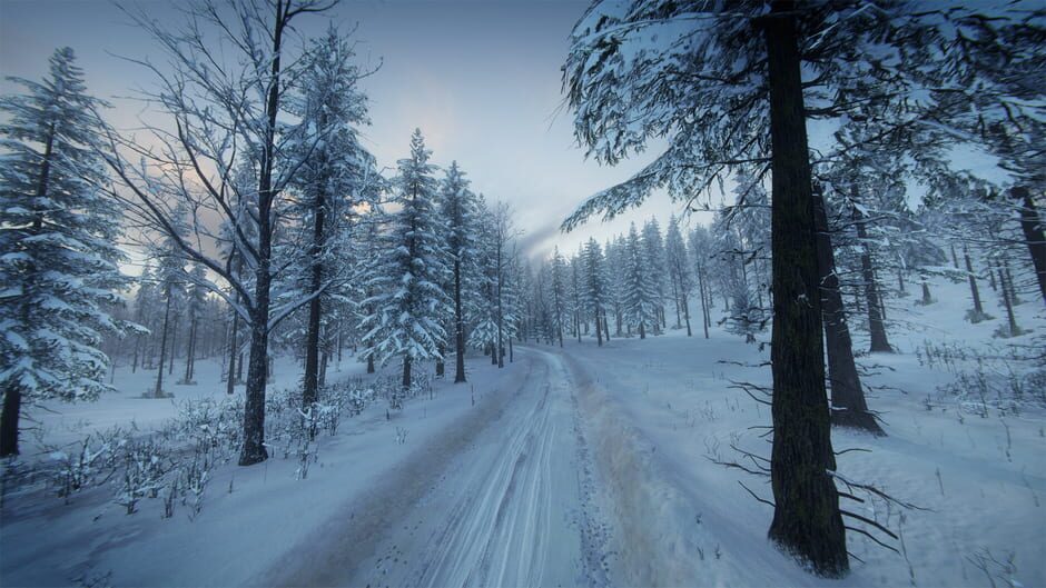 DiRT Rally 2.0: Sweden (Rally Location) Screenshot