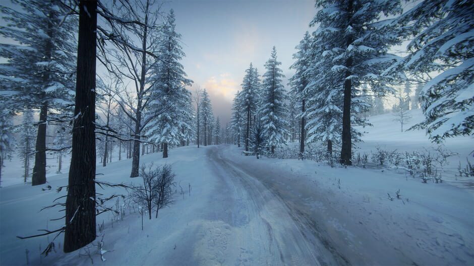 DiRT Rally 2.0: Sweden (Rally Location) Screenshot