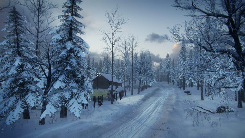 DiRT Rally 2.0: Sweden (Rally Location) Screenshot