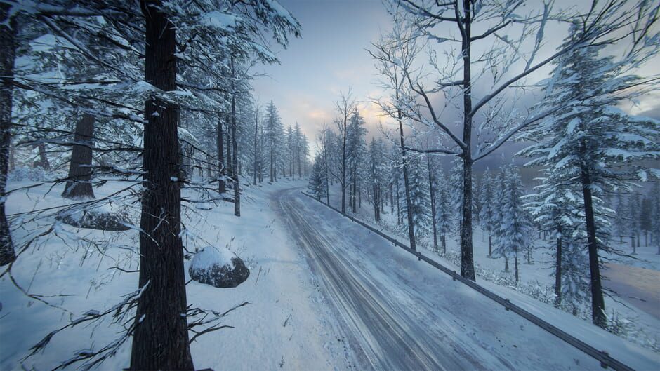 DiRT Rally 2.0: Sweden (Rally Location) Screenshot