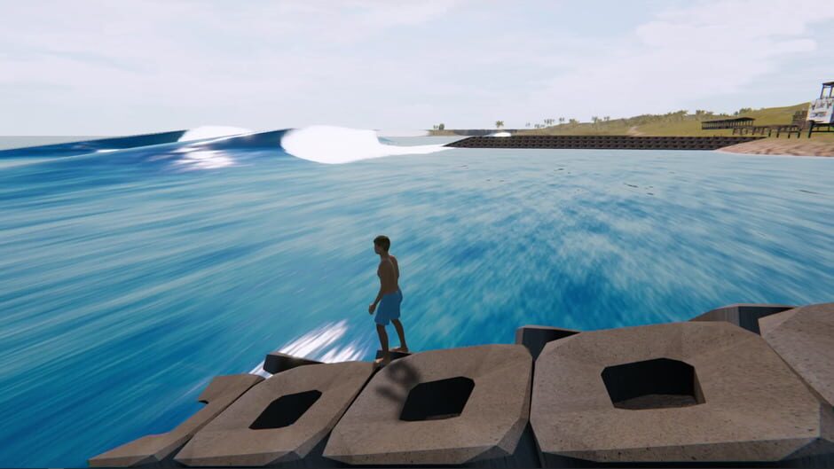 The Endless Summer: Search For Surf Screenshot