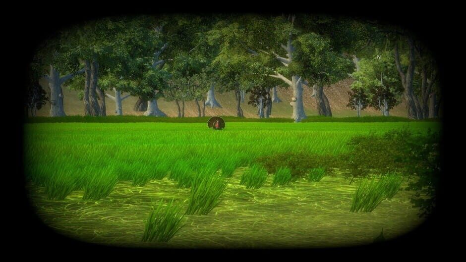 Turkey Hunting Unlimited Screenshot