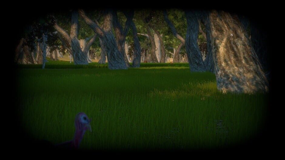 Turkey Hunting Unlimited Screenshot