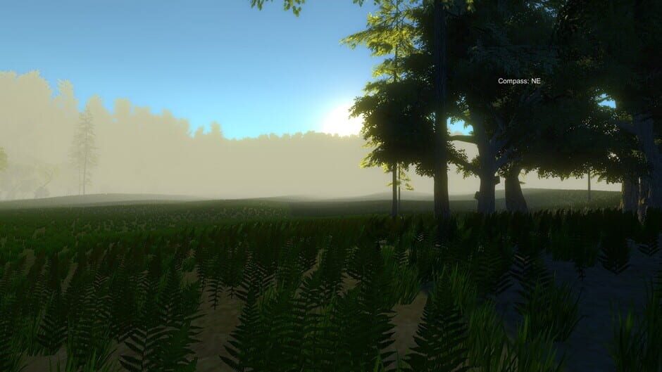 Turkey Hunting Unlimited Screenshot