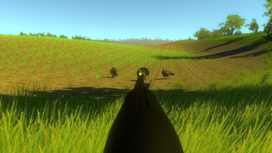 Turkey Hunting Unlimited Screenshot