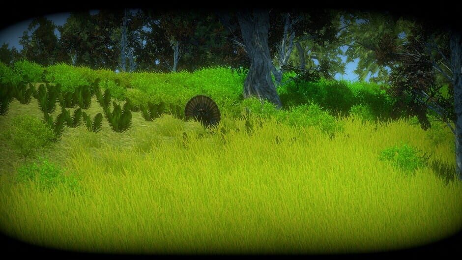 Turkey Hunting Unlimited Screenshot