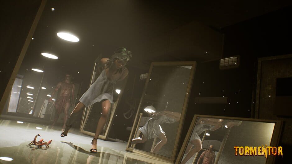 Screenshot Tormentor