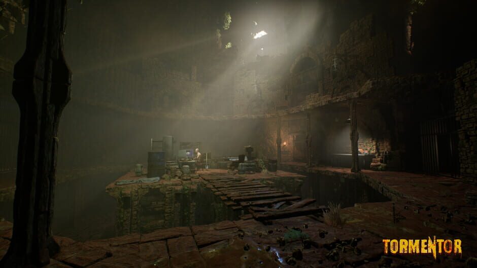 Screenshot Tormentor
