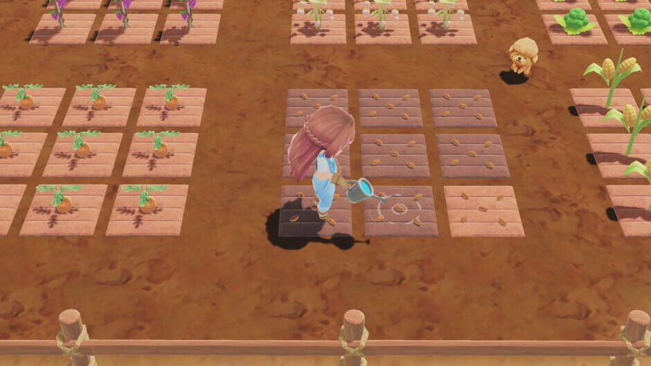 A New Leaf: Memories Screenshot