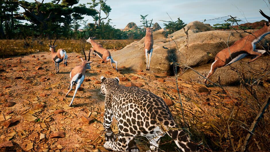 Animalia Survival Screenshot