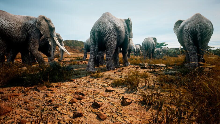 Animalia Survival Screenshot