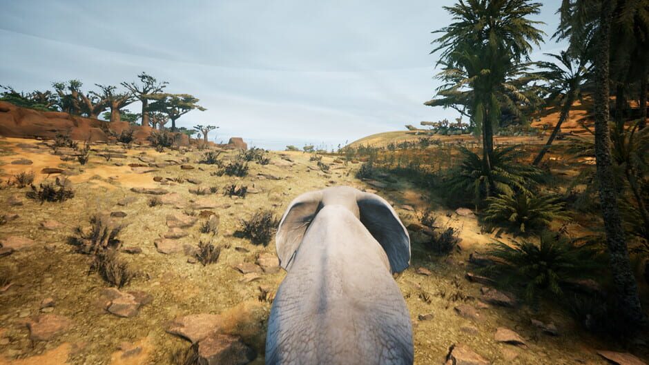 Animalia Survival Screenshot