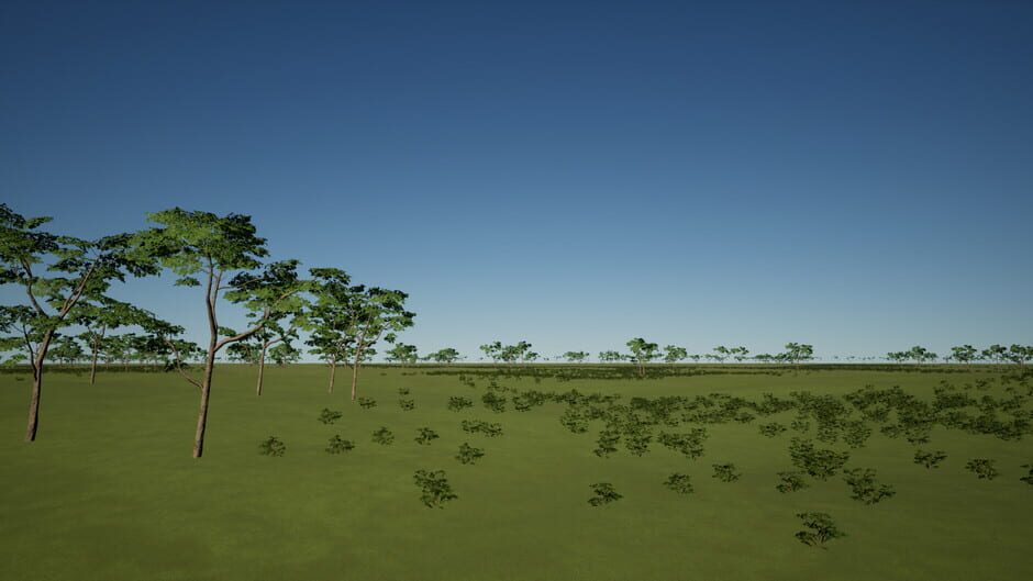 New Dawn screenshot