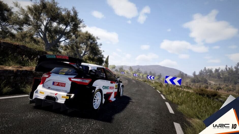 WRC 10: Deluxe Edition Screenshot