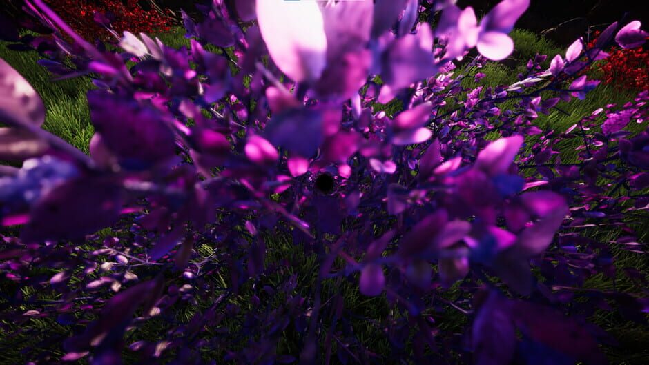 Little Devourers Screenshot