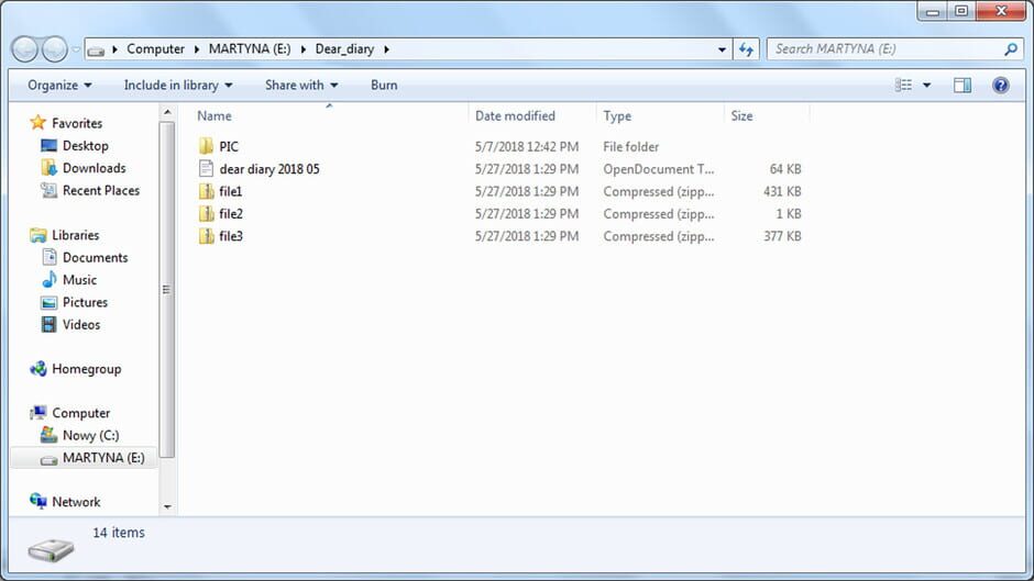 The USB Stick Found in the Grass Screenshot