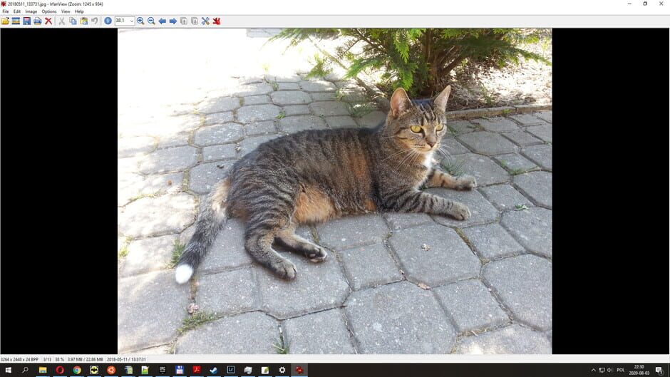 The USB Stick Found in the Grass Screenshot