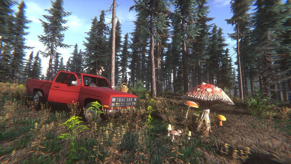 Mushroom Challenge Screenshot