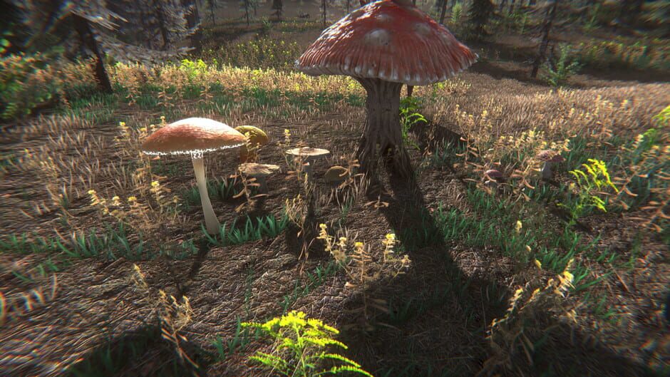 Mushroom Challenge Screenshot