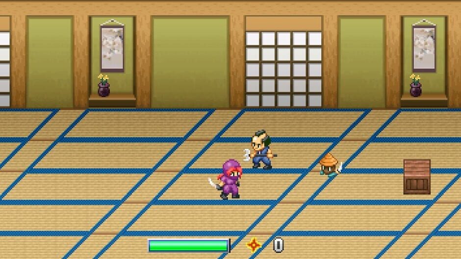 Ninja Kunoichi Screenshot