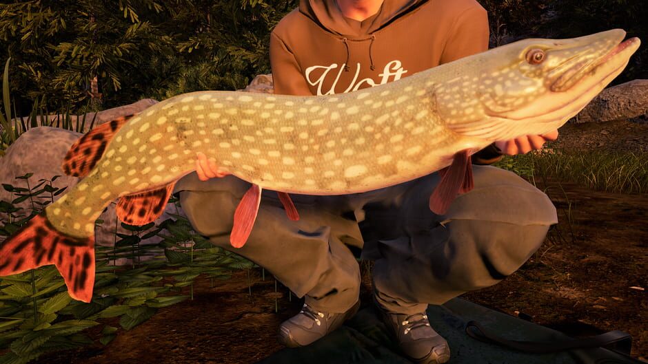 Fishing Sim World: Pro Tour - Jezioro Bestii Screenshot