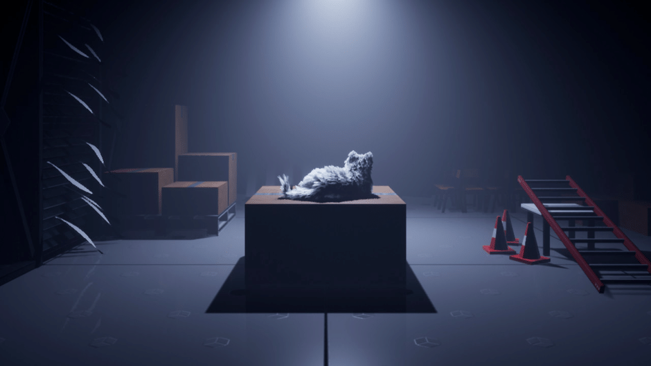 Follow The Cat Screenshot