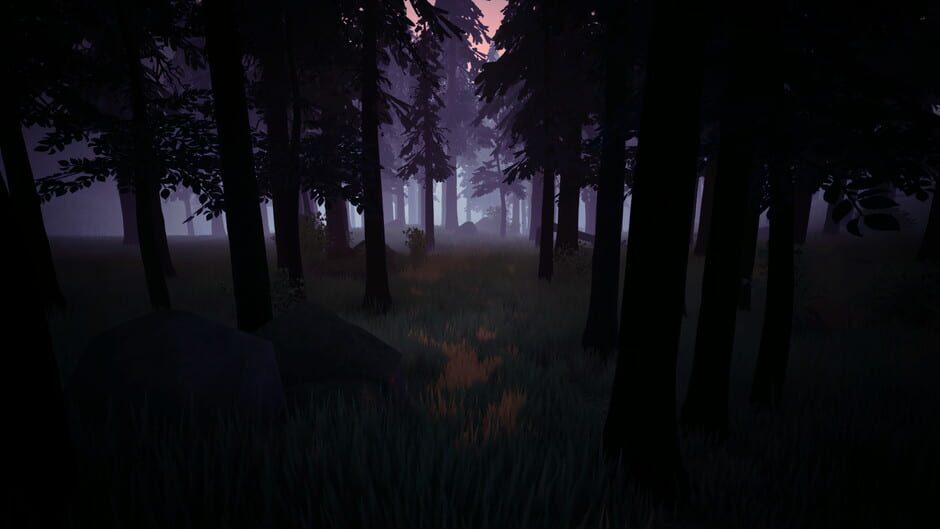Screenshot Radiolight