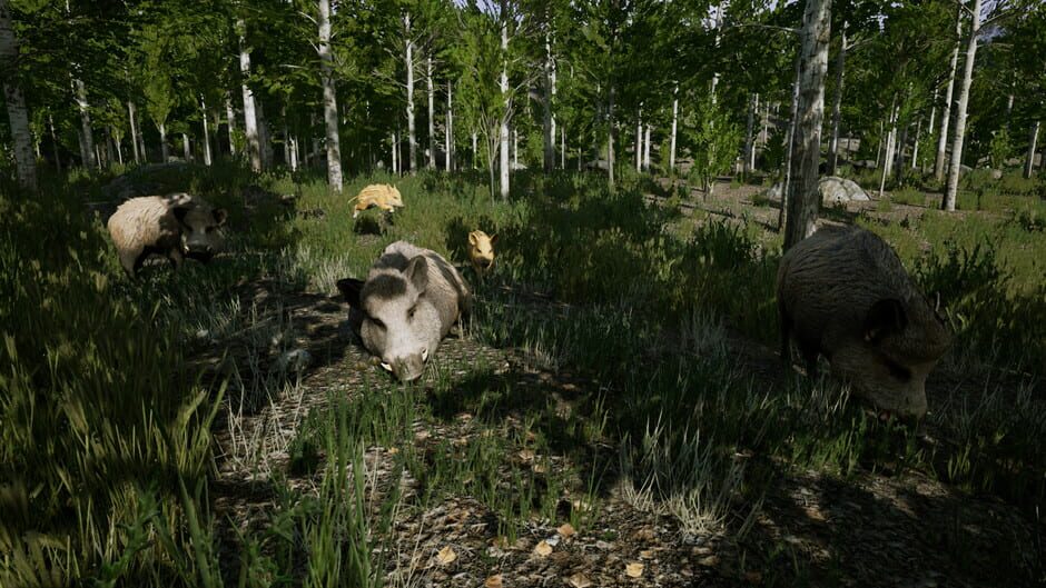 Territory screenshot