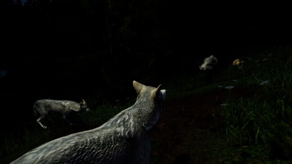 Territory screenshot
