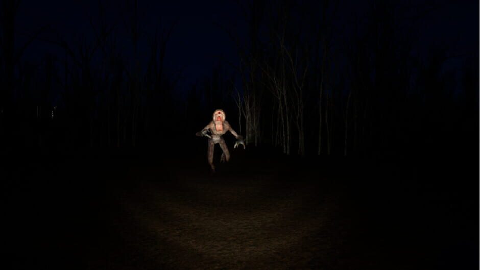 One Fateful Night Screenshot