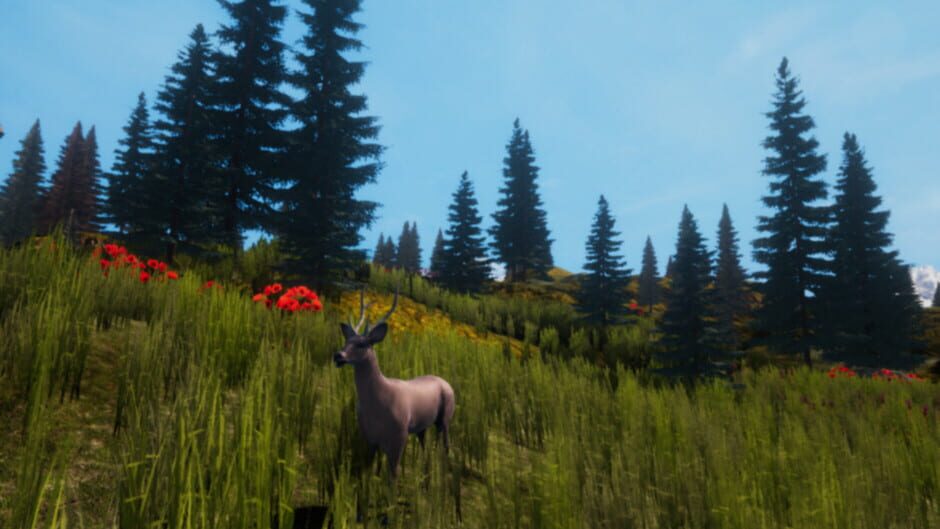 Beat the Nightmare: Evil Dreams Simulator VR Screenshot