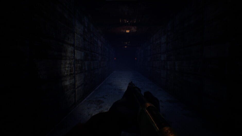 Try to Survive! screenshot