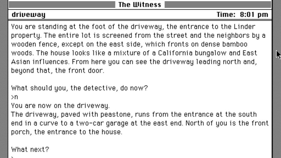 The Witness screenshot