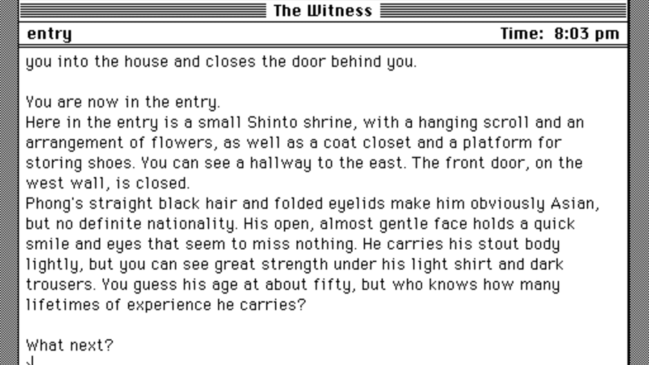 The Witness Screenshot